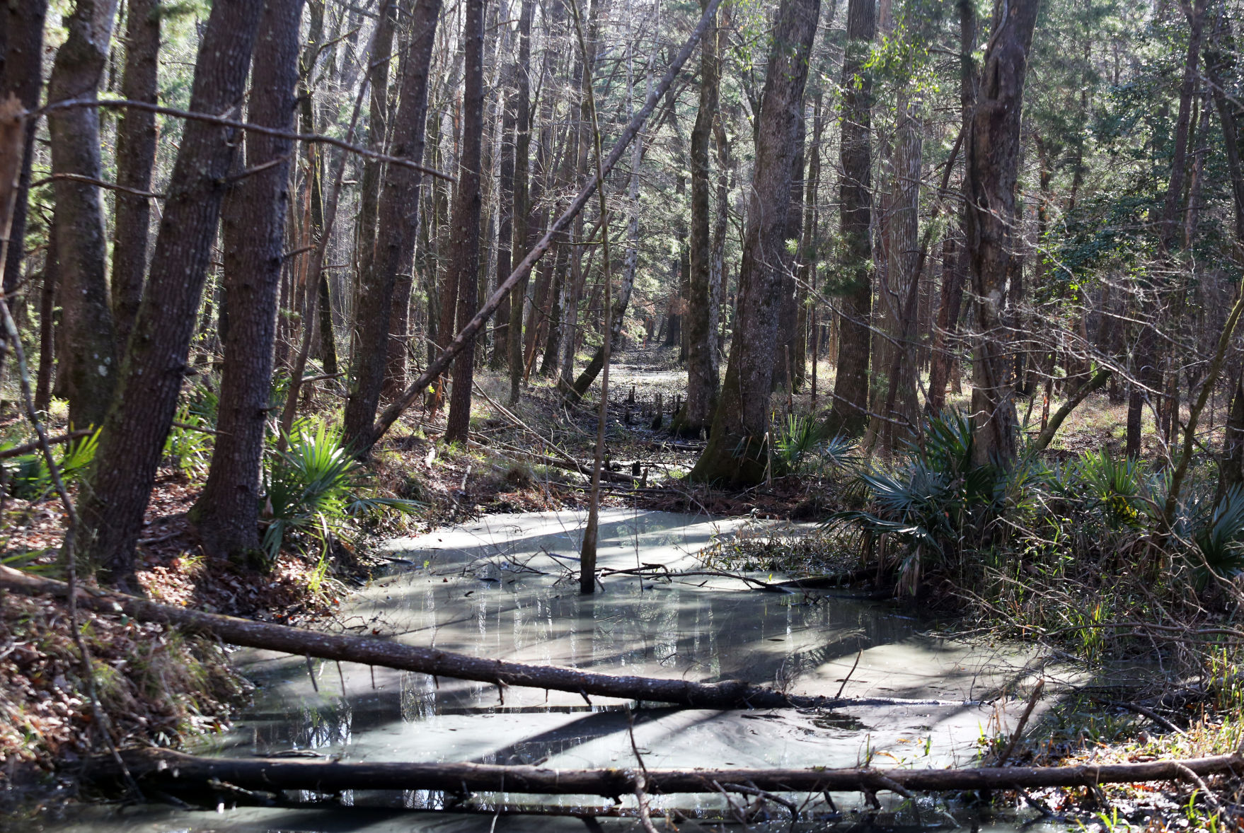 Clean Water Act (copy) (copy)